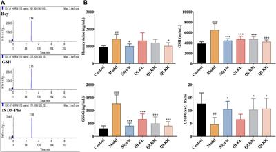 The combination of Lonicerae Japonicae Flos and Forsythiae Fructus herb-pair alleviated inflammation in liver fibrosis